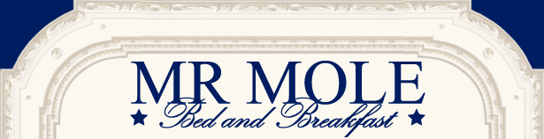 Mr. Mole Bed and Breakfast Baltimore, Maryland, Historic Bolton Hill