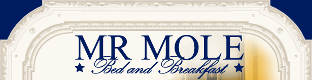 Welcome to Mr. Mole Bed and Breakfast Baltimore, Maryland, Historic Bolton Hill
